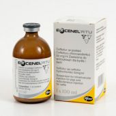 Excenel RTU 100ml