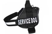 Σαμαράκι Pro ServiceDog, X-Large